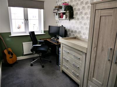 Picture 14